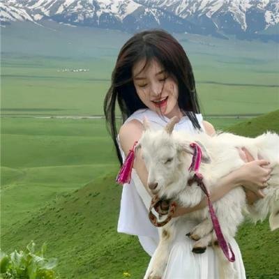 亚瑟与梅林:圣杯骑士